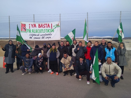 Zum Kuckuck! Offenes anarchistisches Treffen zum Thema “Kämpfe der Landarbeiter*innen in Südspanien”